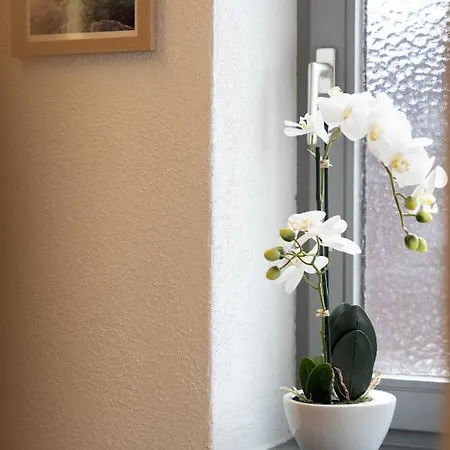 Apartament Wendelstein Kiefersfelden